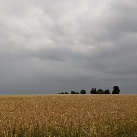 Panoramic Retreat In Borgnaes - By Traum * Ærøskøbing