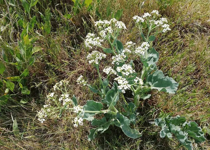 Prázdninový dům Panoramic Retreat In Borgnaes - By Traum *