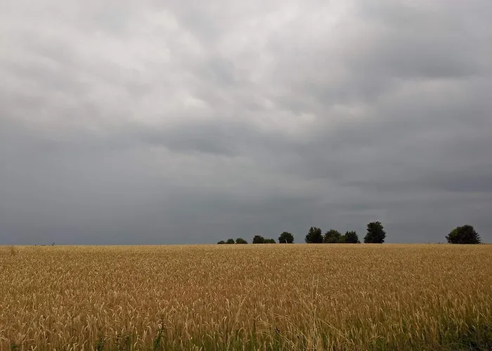 Panoramic Retreat In Borgnaes - By Traum * Ærøskøbing
