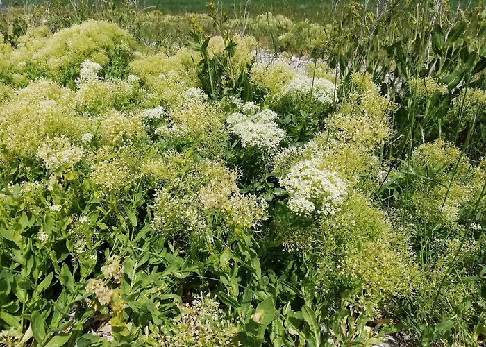 Prázdninový dům Panoramic Retreat In Borgnaes - By Traum Ærøskøbing